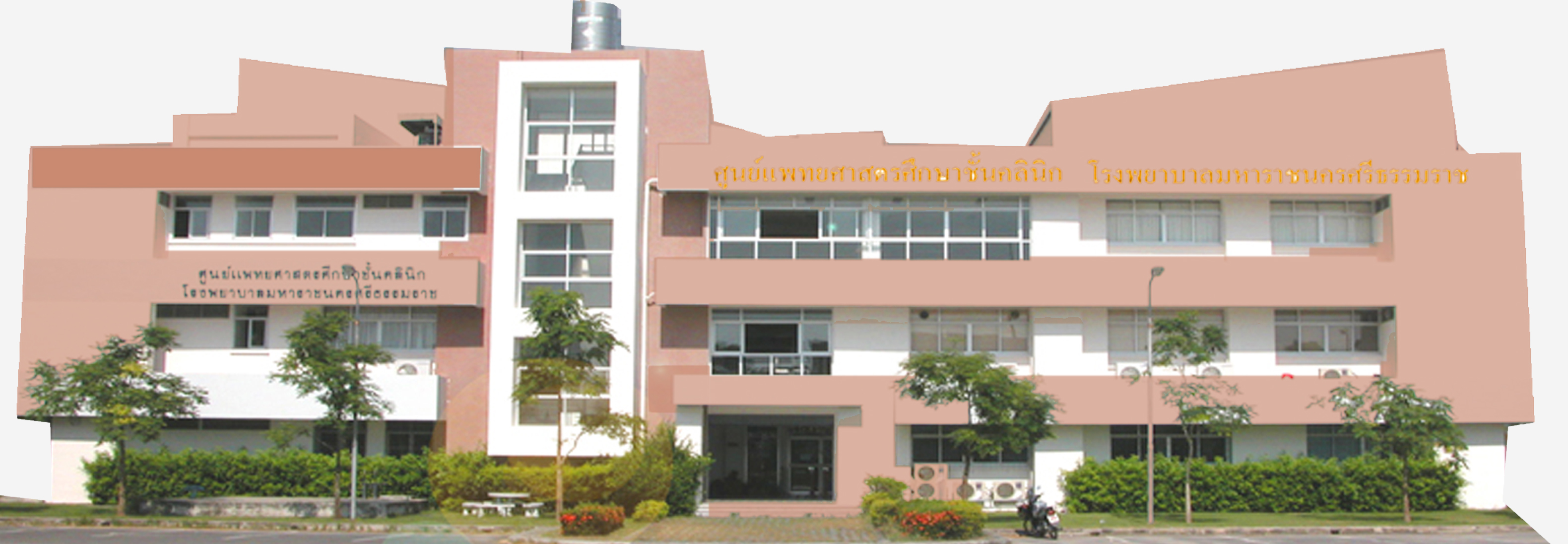 ประวัติโครงการผลิตแพทย์เพื่อชาวชนบท