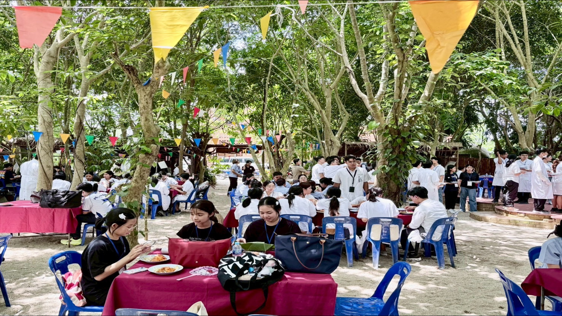 ภาพที่ 46
